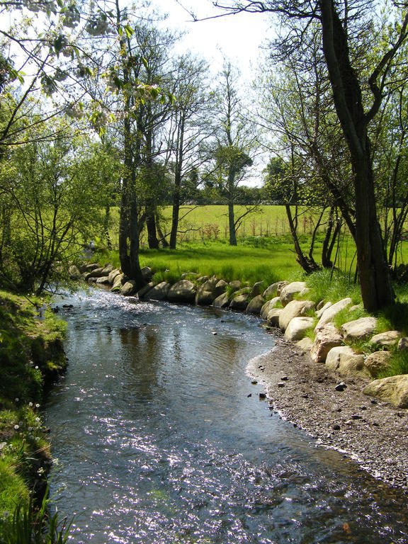 Riverfield Bed And Breakfast Gorey Zewnętrze zdjęcie
