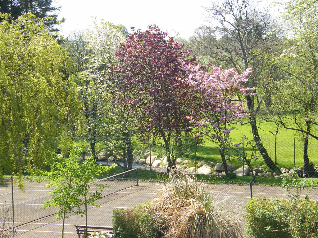 Riverfield Bed And Breakfast Gorey Zewnętrze zdjęcie
