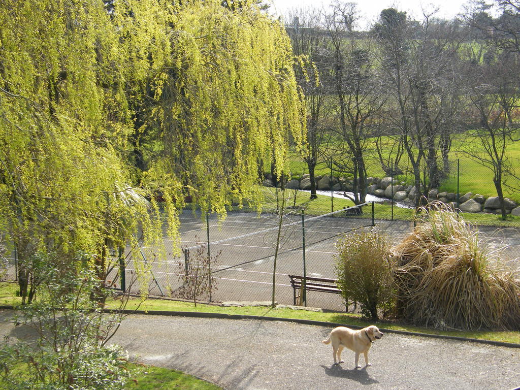 Riverfield Bed And Breakfast Gorey Zewnętrze zdjęcie