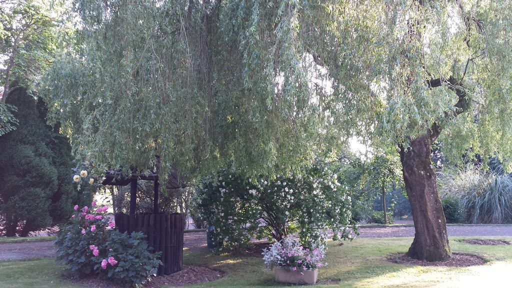 Riverfield Bed And Breakfast Gorey Zewnętrze zdjęcie