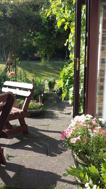 Riverfield Bed And Breakfast Gorey Zewnętrze zdjęcie