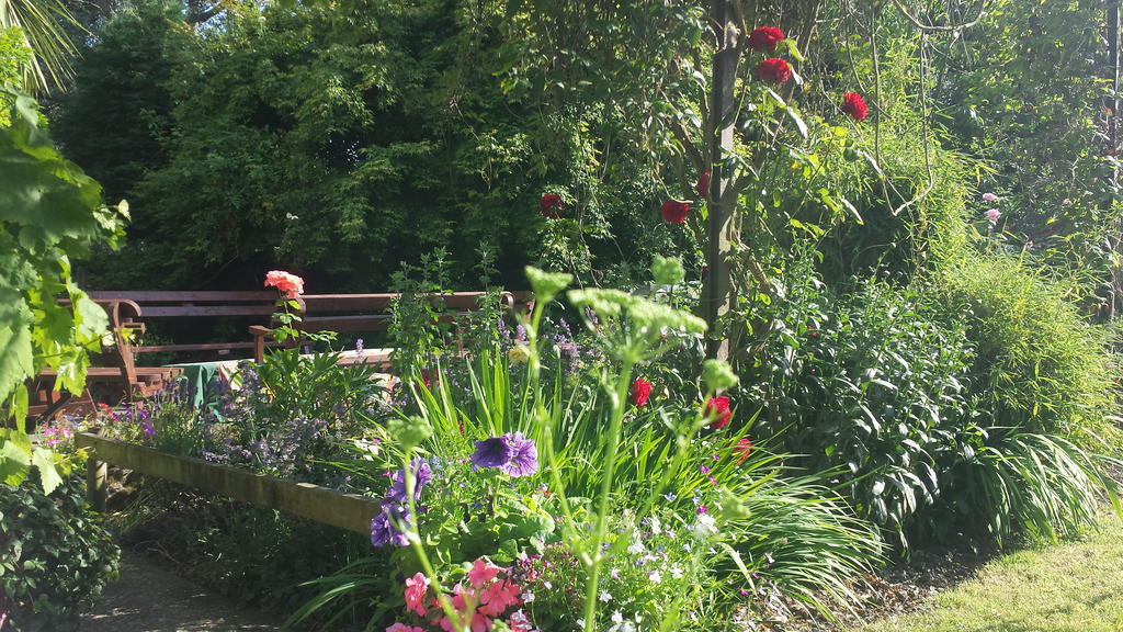 Riverfield Bed And Breakfast Gorey Zewnętrze zdjęcie